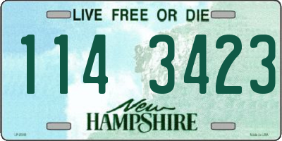 NH license plate 1143423