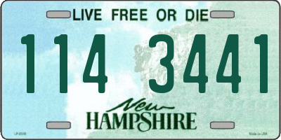 NH license plate 1143441