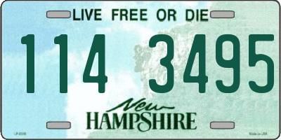 NH license plate 1143495