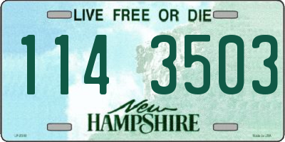 NH license plate 1143503