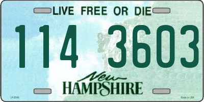 NH license plate 1143603