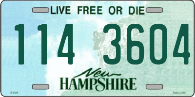 NH license plate 1143604