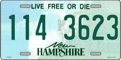 NH license plate 1143623