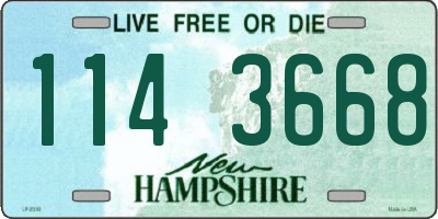 NH license plate 1143668
