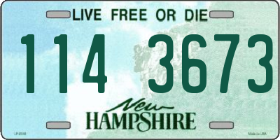 NH license plate 1143673