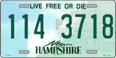 NH license plate 1143718