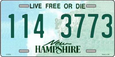 NH license plate 1143773