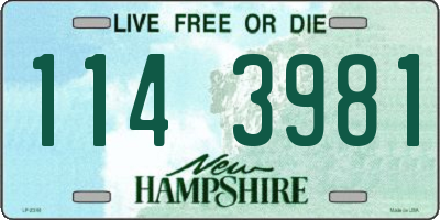 NH license plate 1143981