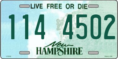 NH license plate 1144502