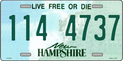 NH license plate 1144737