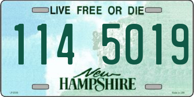 NH license plate 1145019