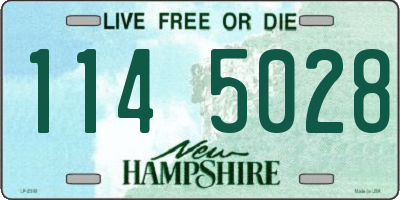 NH license plate 1145028