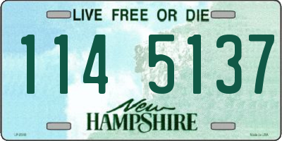 NH license plate 1145137
