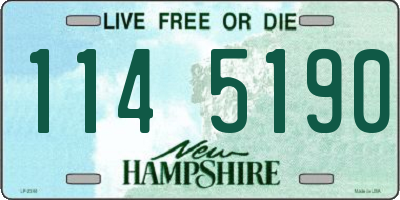 NH license plate 1145190