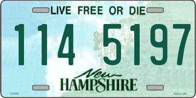 NH license plate 1145197