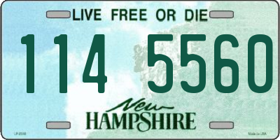 NH license plate 1145560