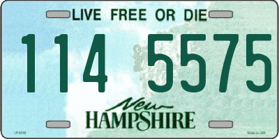 NH license plate 1145575
