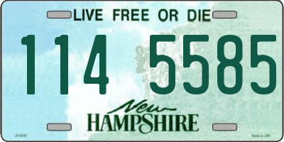 NH license plate 1145585