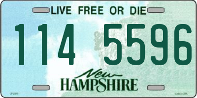 NH license plate 1145596