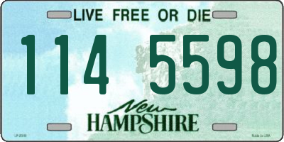 NH license plate 1145598