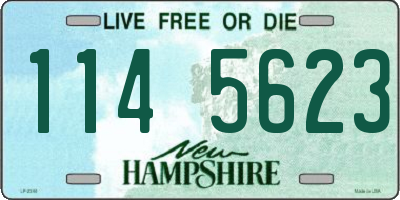 NH license plate 1145623