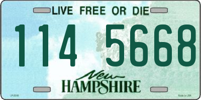 NH license plate 1145668