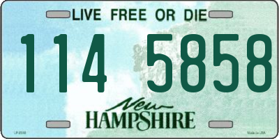 NH license plate 1145858