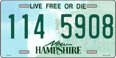 NH license plate 1145908