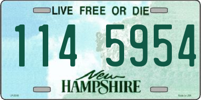 NH license plate 1145954