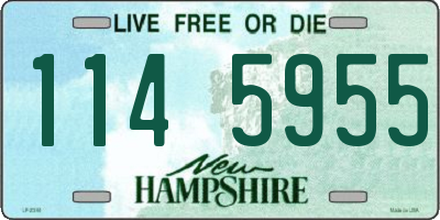 NH license plate 1145955