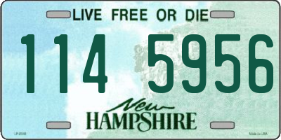 NH license plate 1145956