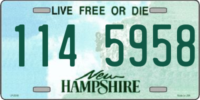 NH license plate 1145958