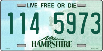 NH license plate 1145973