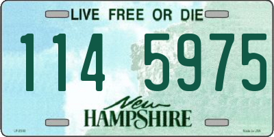 NH license plate 1145975