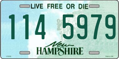 NH license plate 1145979
