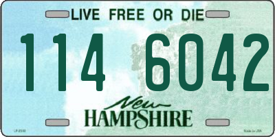 NH license plate 1146042