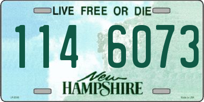 NH license plate 1146073