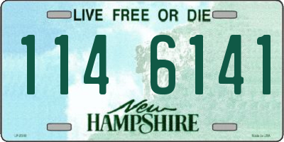 NH license plate 1146141