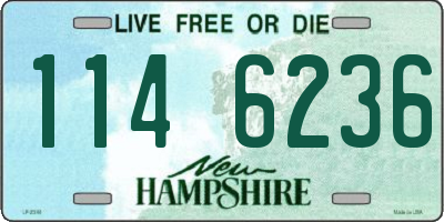 NH license plate 1146236