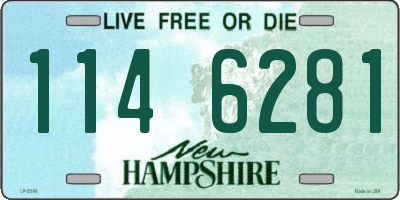NH license plate 1146281