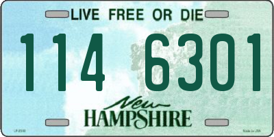 NH license plate 1146301