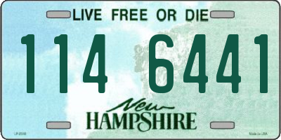 NH license plate 1146441