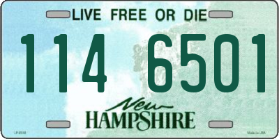 NH license plate 1146501