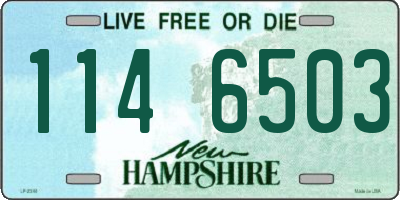 NH license plate 1146503