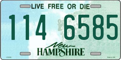 NH license plate 1146585