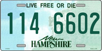 NH license plate 1146602