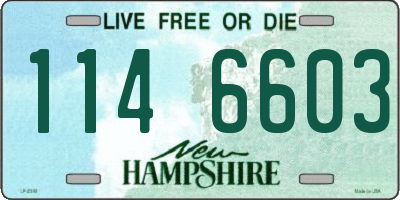 NH license plate 1146603