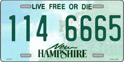 NH license plate 1146665