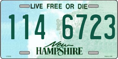NH license plate 1146723