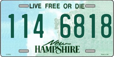 NH license plate 1146818